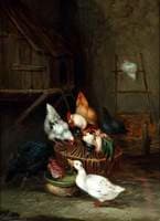 Poultry