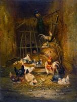 Poultry