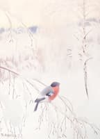 Winter Morning