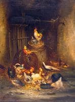 Poultry