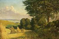 Harvest Scene