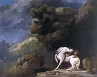 A Lion attacking a Horse
