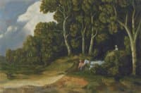 The Edge of Woods