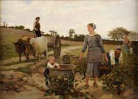The wine harvest