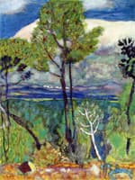 Pines, by the Sea