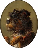 Circus Dog