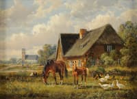 Summer in the countryside