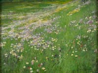The Flowering Meadow