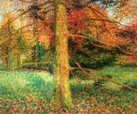 Forest in Autumn, Sint-Martens-Latem