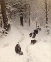 Boars in winter forest