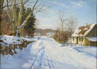 Winter Day in Lillerod
