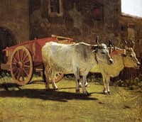 Oxen and Cart