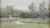 River landscape