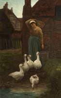 Michaelmas Geese