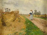 Sheaves