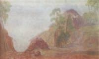 Pines and Rocks
