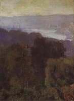 Misty Landscape