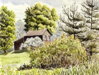 A House near the Woods