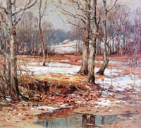 Sycamores on Clear Creek