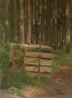 Pile of wood in the forest