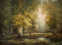 Forest Landscape