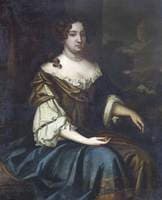 Portrait of an Unknown Lady