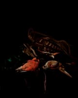Still Life with Dead Birds and Game Bag