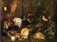 Still Life with Snakes, Frogs, Mushrooms, Flowers and Butterflies