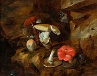 A Forest Floor Still Life with Mushrooms, a Snake and a Butterfly