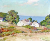 Houses along the Coast