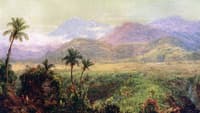 South American Scene