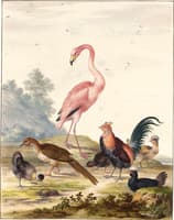 A Flamingo and Exotic Poultry in a Landscape