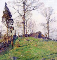 Belmont Hillside