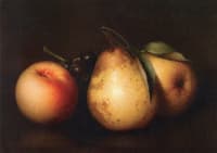 Still Life: Two Pears, a Peach and Grapes