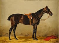 Horse in the Stable
