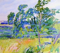 Summer Landscape