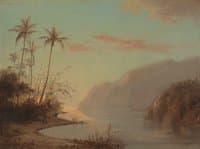 A Creek in Saint Thomas, Antilles