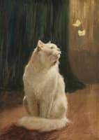 White Cat and Two Brimstone Butterflies