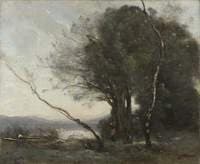 The Leaning Tree Trunk
