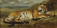 Tiger Resting