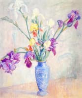 Irises