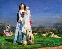 Pretty Baa-Lambs
