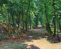 Avenue in the Park of St. Cloud
