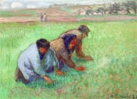 Weeders