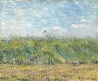 Wheatfield with Partridge