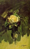 A Rose