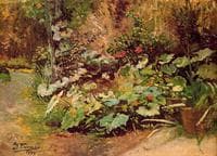 Wild Flowers