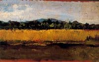 Cornfield