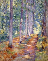 Wooded Path