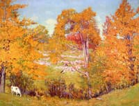 Shore by the Saint Lawrence